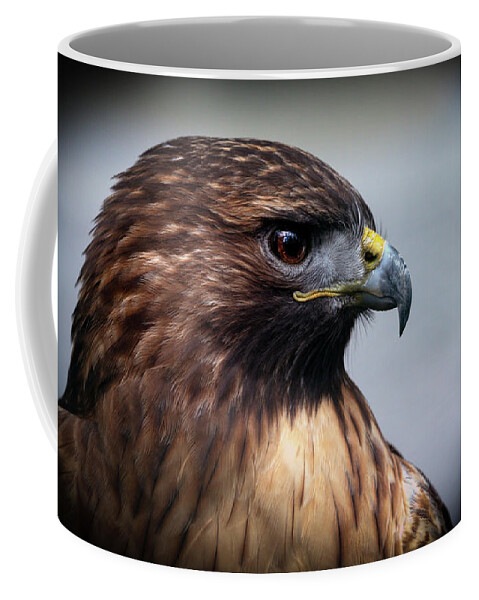 Bird Coffee Mug featuring the photograph Red Tailed hawk portrait by Sam Rino