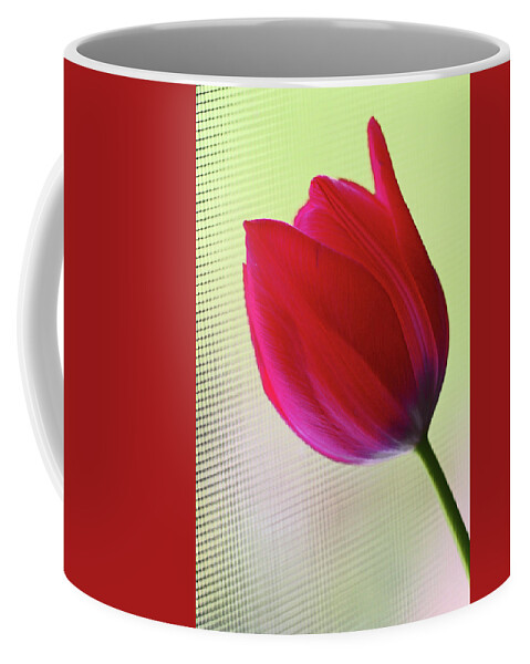 Red Tulip Yellow-green Background Coffee Mug featuring the photograph Red Tulip yellow green background 5819 by David Frederick