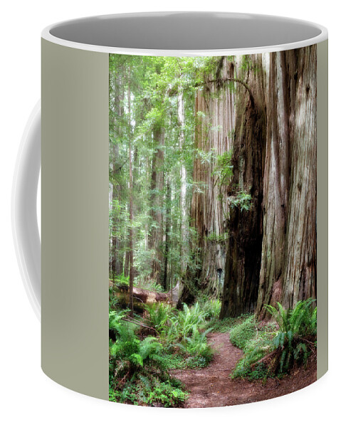 Bark Coffee Mug featuring the photograph Redwood Forest by Lana Trussell