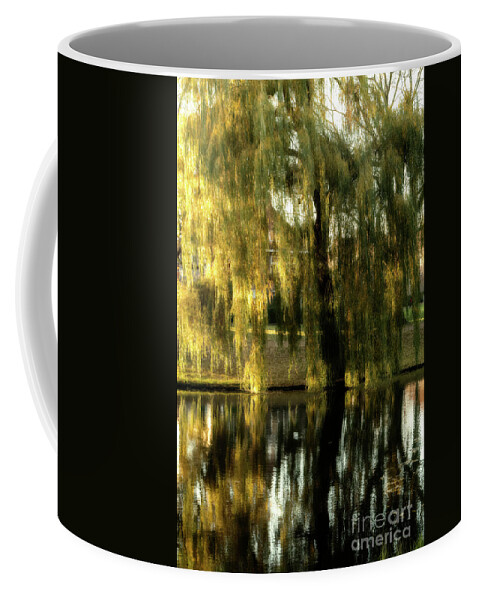 Color Coffee Mug featuring the photograph Reflecting weeping willow tree by Patricia Hofmeester