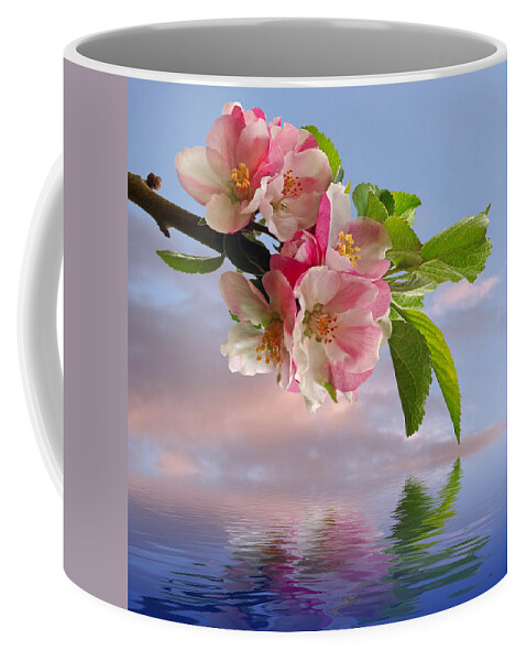 Apple Blossom Coffee Mug featuring the photograph Reflections Of Spring at Apple Blossom Time - Square by Gill Billington