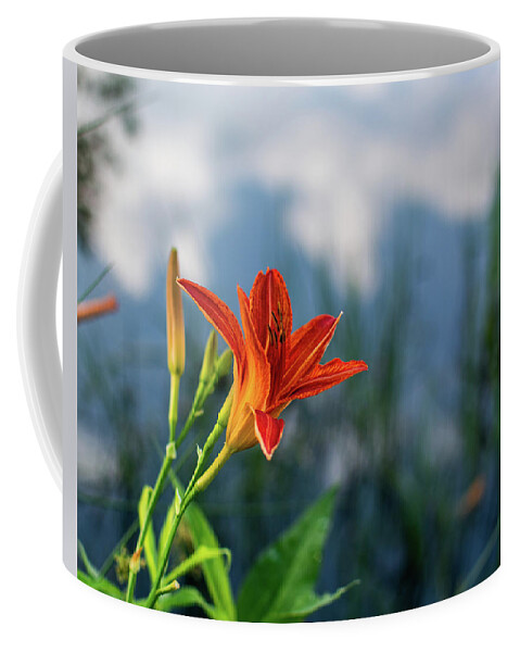 Tiger Lily Coffee Mug featuring the photograph Reflections on a Tiger Lily by Douglas Wielfaert