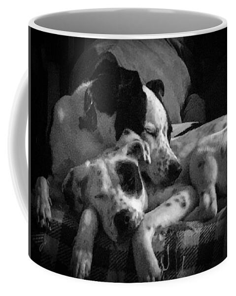 Dogs Coffee Mug featuring the photograph Rescued and Best Friends by Veterans Aerial Media LLC