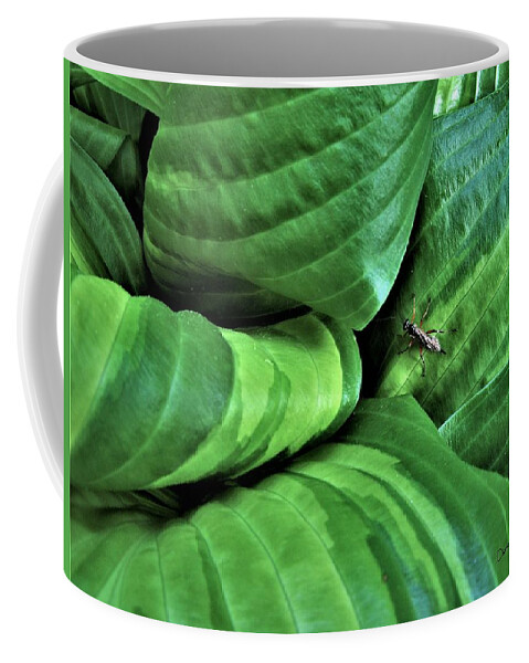 Insect Coffee Mug featuring the photograph Rest Stop by Diane Chandler