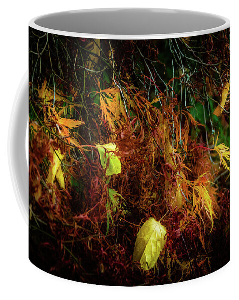 Tree Coffee Mug featuring the photograph Resting on Golden by Christopher Maxum