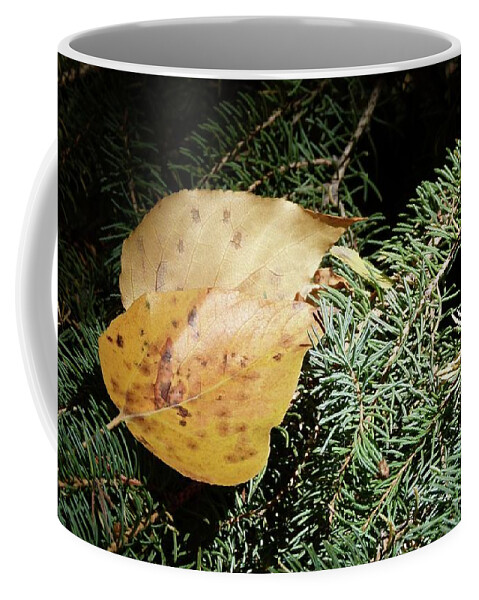 Leaf Coffee Mug featuring the photograph Resting Together - Till Winter by Jor Cop Images