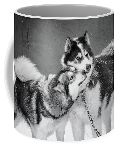 Dogs Coffee Mug featuring the photograph Reunited by Becqi Sherman