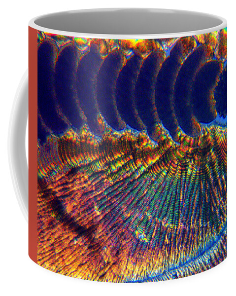  Coffee Mug featuring the photograph Reverberations by Rein Nomm
