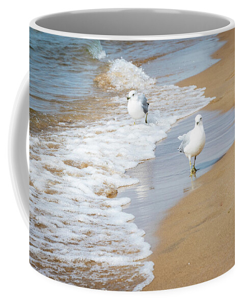 Animal Coffee Mug featuring the photograph Ring-Billed Gulls, a species of Seagulls, on Oval Beach in Michigan by Ami Parikh