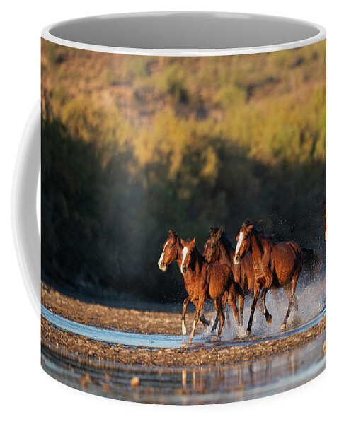 Salt River Wild Horses Coffee Mug featuring the photograph River Run 3 by Shannon Hastings