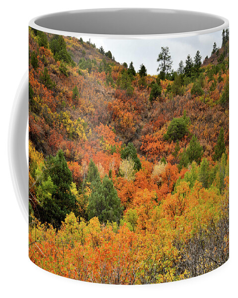 Ouray Coffee Mug featuring the photograph Roadside Fall Colors near Ridgway Colorado by Ray Mathis