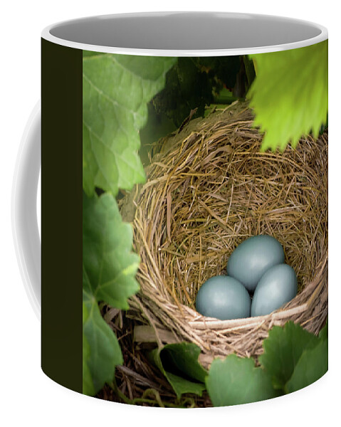 Robin Coffee Mug featuring the photograph Robin Egg Blues by James Barber