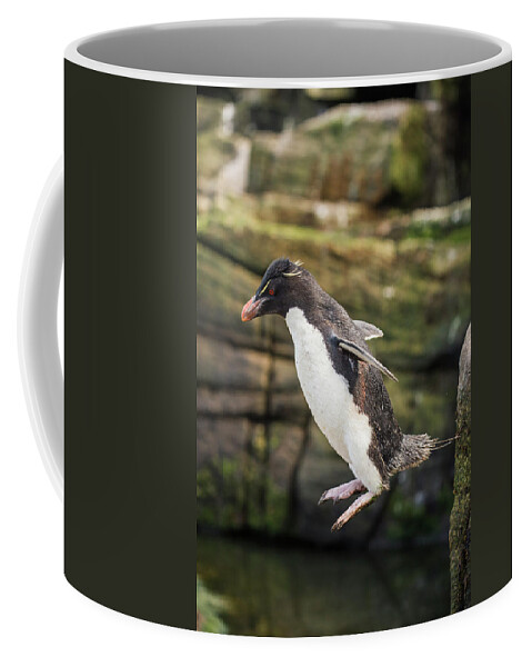 Animal Coffee Mug featuring the photograph Rockhopper Penguin Jumping by Tui De Roy