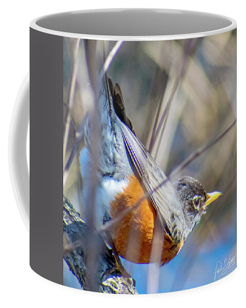 Robin Coffee Mug featuring the photograph Rockin Robin by Phil S Addis