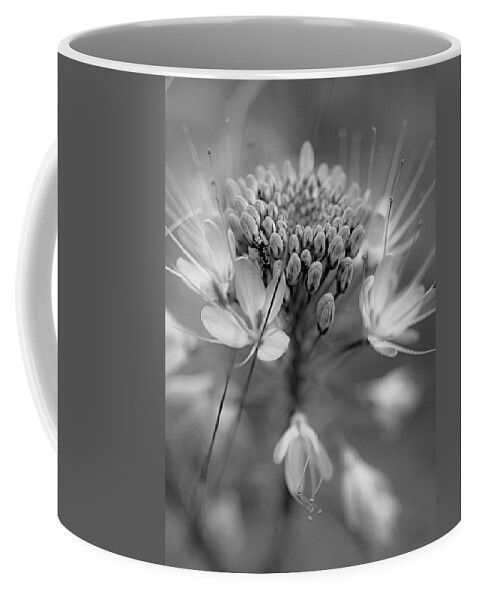 Disk1215 Coffee Mug featuring the photograph Rocky Mountain Bee Plant Abstract by Tim Fitzharris