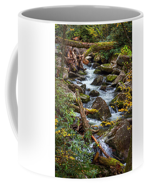 Carolina Coffee Mug featuring the photograph Rocky Stream in Autumn by Debra and Dave Vanderlaan