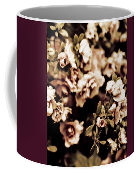 Photography Coffee Mug featuring the photograph Romantic Roses II by Tang Ling