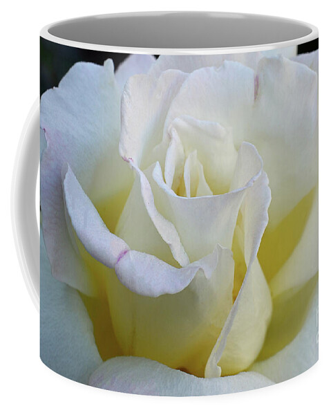 Rose Coffee Mug featuring the photograph Rose by Debby Pueschel