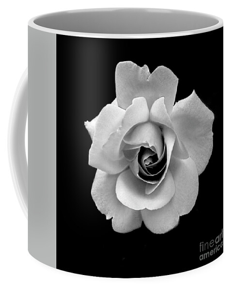 Flowers Coffee Mug featuring the photograph Rose in Gray Tone by Dianne Morgado