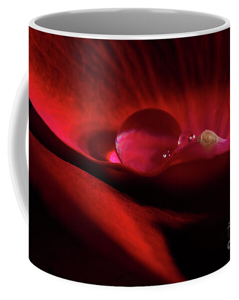 Rose Coffee Mug featuring the photograph Rose Petal Droplet by Mike Eingle