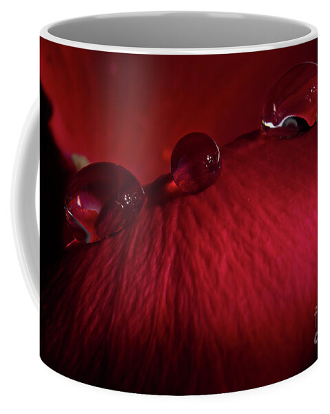 Rose Coffee Mug featuring the photograph Rose Petal Droplets by Mike Eingle