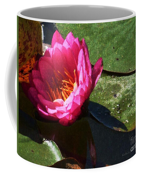 Waterlily.flower Coffee Mug featuring the digital art Rose Waterlily by Kathie Chicoine