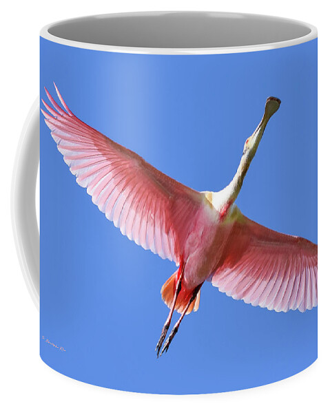 Roseate Coffee Mug featuring the photograph Roseate in Flight by Christopher Rice