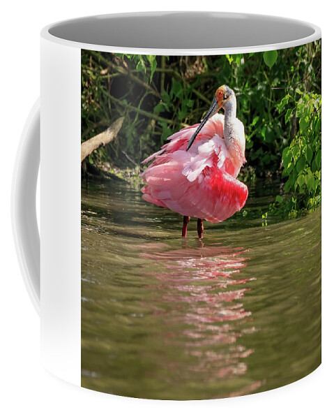 Spoonbill Coffee Mug featuring the photograph Roseate Spoonbill by JASawyer Imaging
