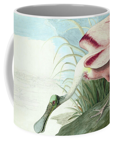 Roseate Spoonbill Coffee Mug featuring the painting Roseate Spoonbill, Platalea Ajaja Audubon by John James Audubon