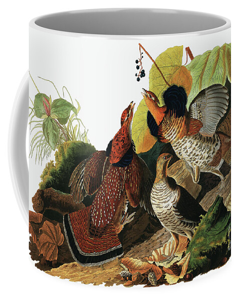 Grouse Coffee Mug featuring the painting Ruffed Grouse, Tetrao Umbellus by Audubon by John James Audubon