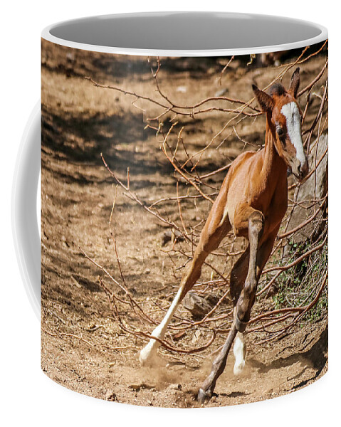 Arizona Coffee Mug featuring the photograph Running Young Filly by Dawn Richards
