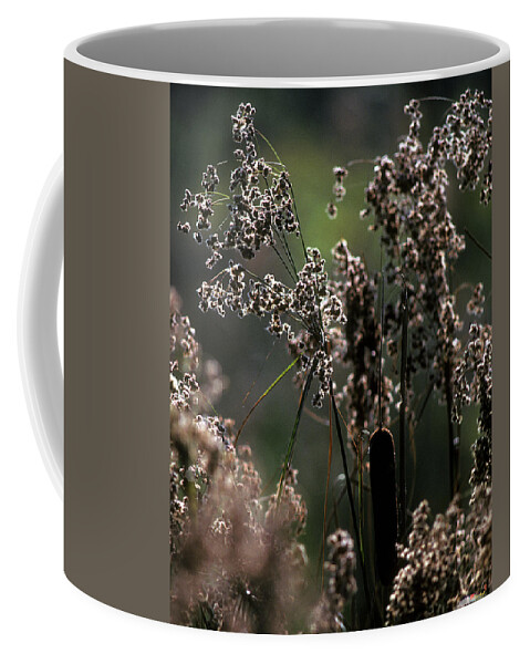 Marsh Coffee Mug featuring the photograph Rushes and Cattails 7G by Gerry Gantt