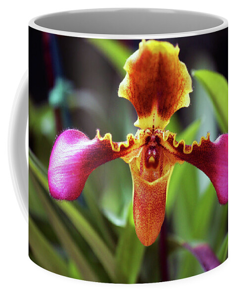 Orchid Coffee Mug featuring the photograph Sad Orchid by Anthony Jones