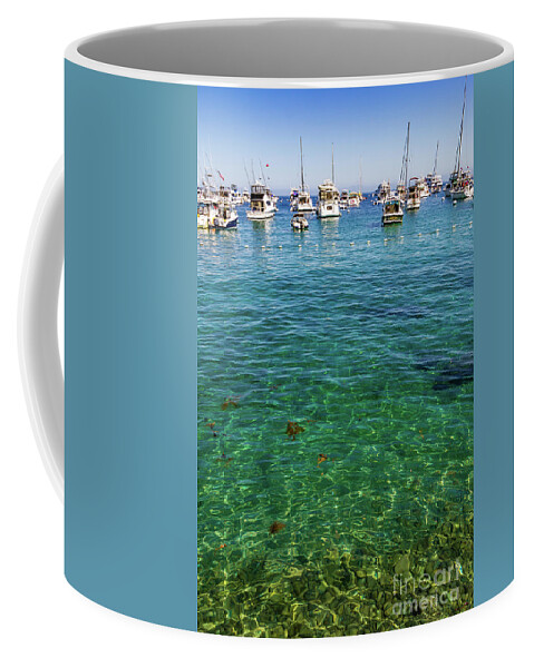 Catalina Coffee Mug featuring the photograph Sailboats on the Horizon by Roslyn Wilkins