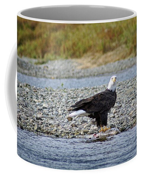 Eagle Coffee Mug featuring the photograph Salmon for Supper by Cameron Wood