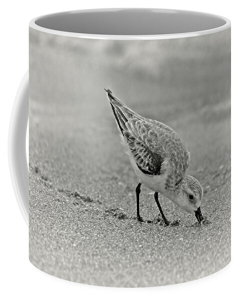 Sanderling Coffee Mug featuring the photograph Sanderling Foraging For Food by Steve DaPonte