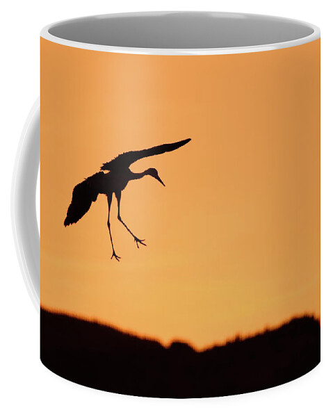 Bird Photography Coffee Mug featuring the photograph Sandhill Crane Silhouette by Nicole Young