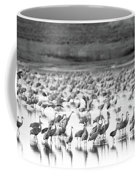 Richard E. Porter Coffee Mug featuring the photograph Sandhill Cranes #2041, Muleshoe Wildlife Refuge, Texas by Richard Porter