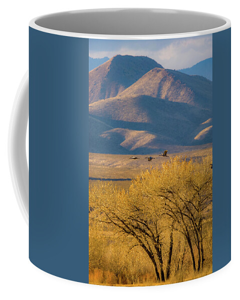 Grus Canadensis Coffee Mug featuring the photograph Sandhill Cranes near the Bosque by Jeff Phillippi