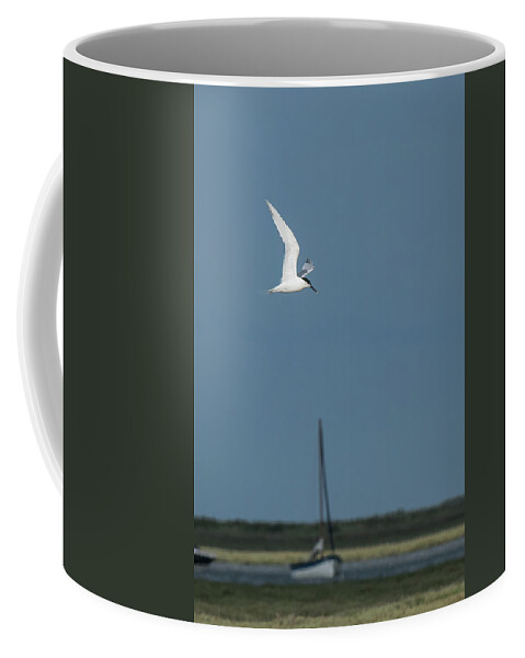 ©wendy Cooper Coffee Mug featuring the photograph Sandwich Tern by Wendy Cooper