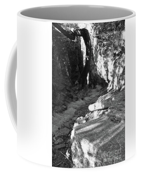 Savage Gulf Coffee Mug featuring the photograph Savage Gulf 18 by Phil Perkins