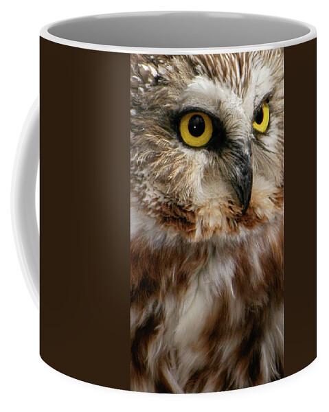 Birds Coffee Mug featuring the photograph Saw-whet Owl by Minnie Gallman