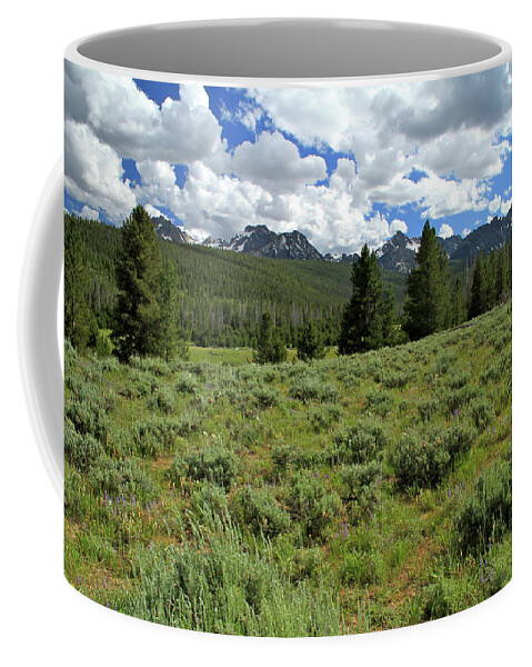 Sawtooth Range Coffee Mug featuring the photograph Sawtooth Range Crooked Creek by Ed Riche