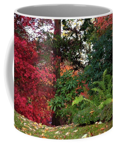 Jenny Rainbow Fine Art Photography Coffee Mug featuring the photograph Scarlet Red and Emerald Green in Japanese Garden by Jenny Rainbow