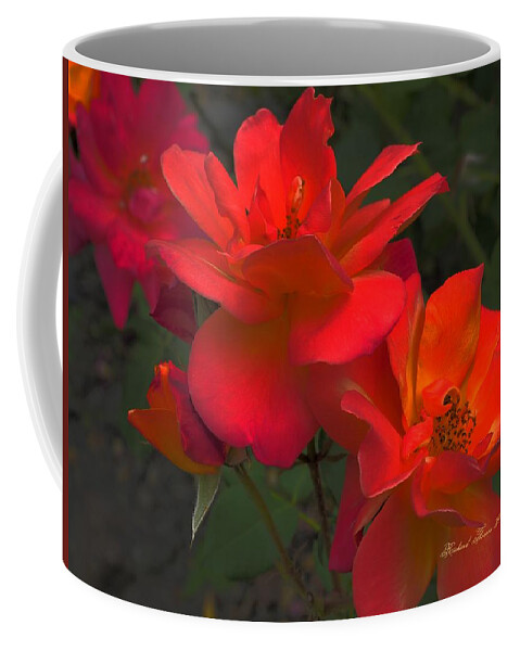 Botanical Coffee Mug featuring the photograph Scarlet Roses by Richard Thomas