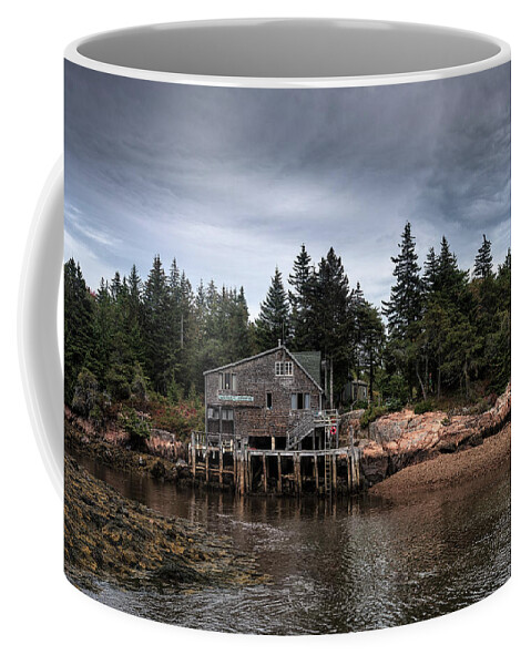 Maine Coffee Mug featuring the photograph Schoodic Life by Robert Fawcett