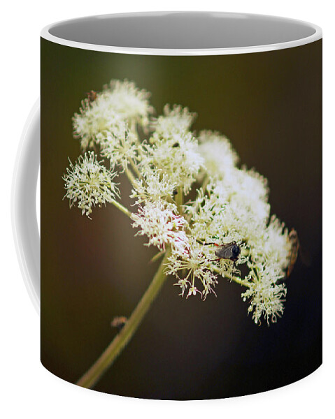 Scotland Coffee Mug featuring the photograph SCOTLAND. Loch Rannoch. White Flowerhead. by Lachlan Main