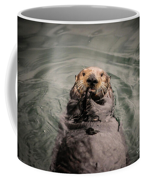 Sea Otter Coffee Mug featuring the photograph Sea Otter Monterey Bay II by Veronica Batterson