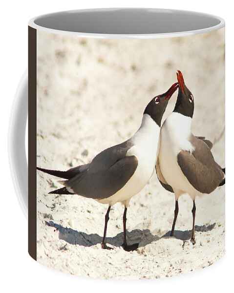 Laughing Gull Coffee Mug featuring the photograph Seagull Love by Jane Axman