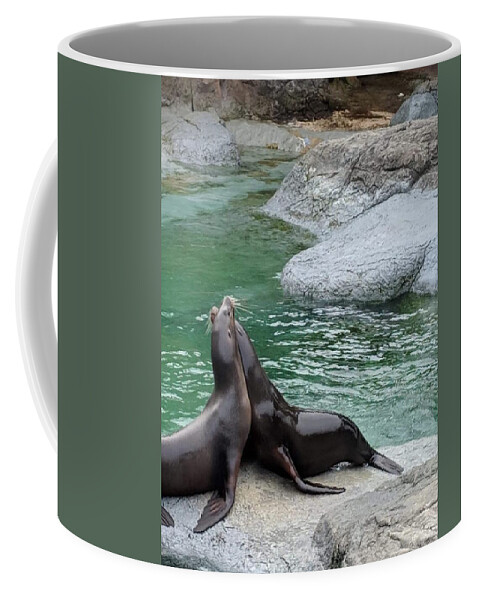 Blue Coffee Mug featuring the photograph Seal by Aswini Moraikat Surendran